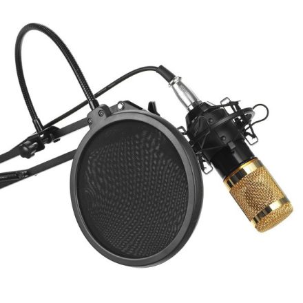 Professzionális kondenzátor stúdió mikrofon, állvánnyal és kiegészítőkkel, arany-fekete
